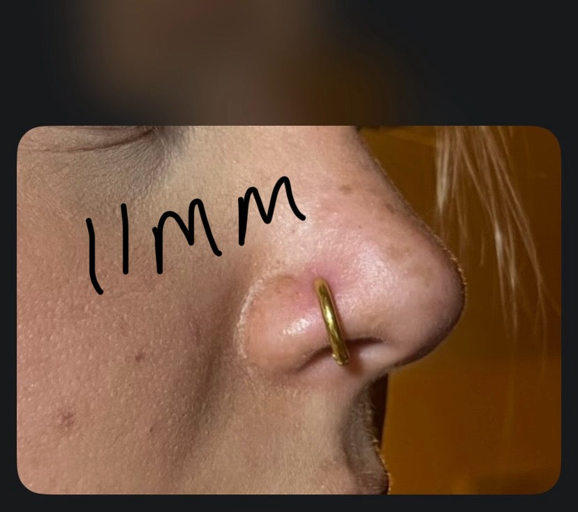 Nose Rings - Available in Silver and Gold