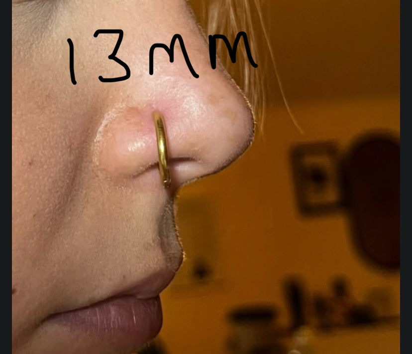 Nose Rings - Available in Silver and Gold