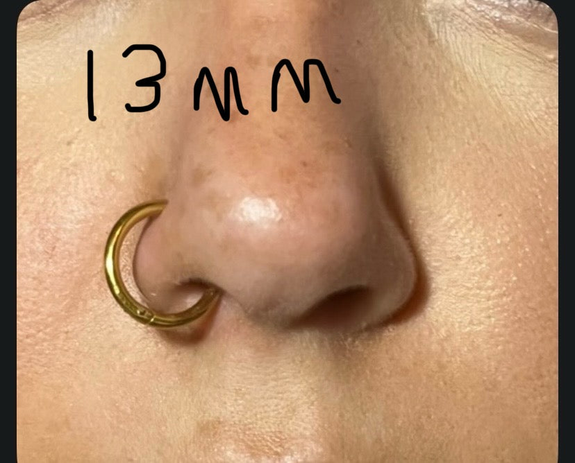Nose Rings - Available in Silver and Gold