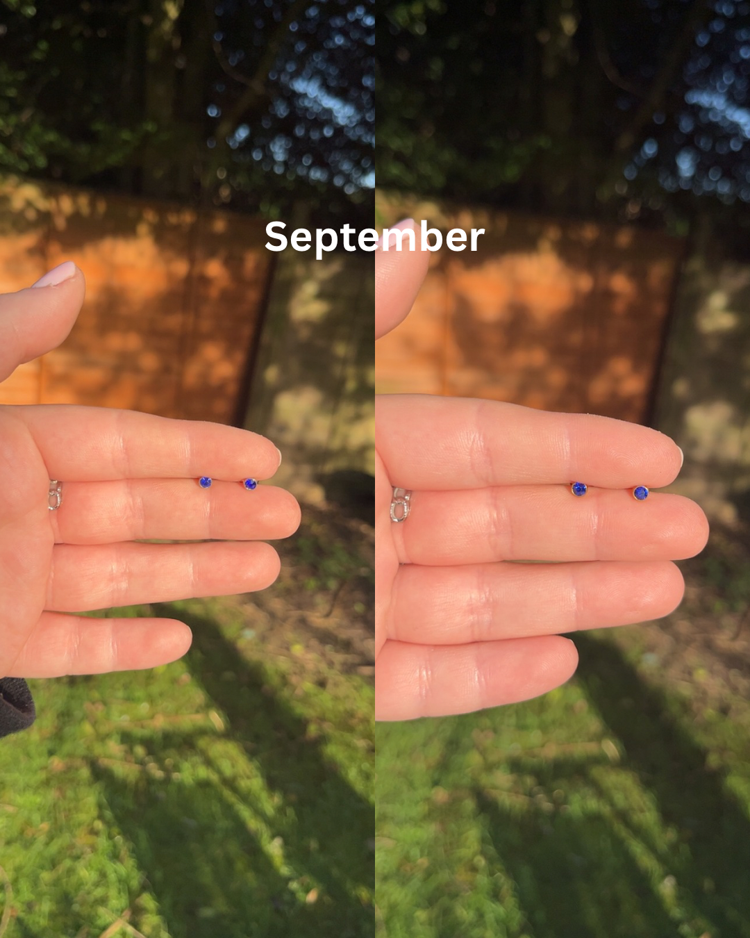 Joanna Birthstone Studs