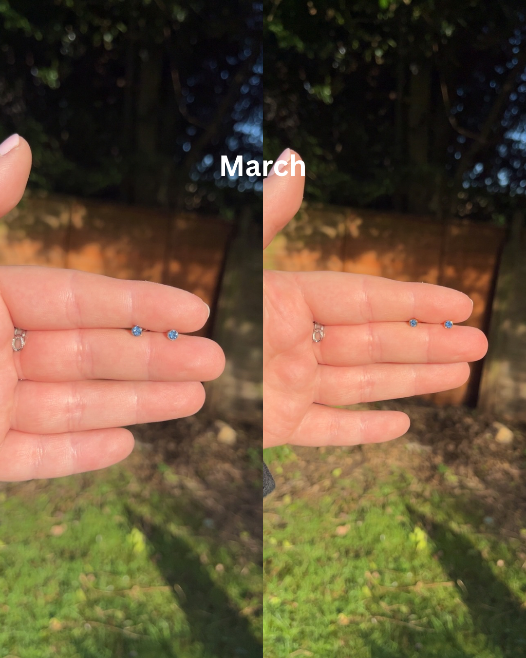Joanna Birthstone Studs