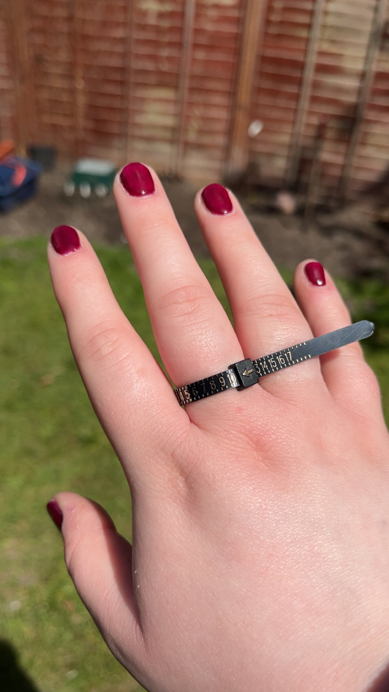 Ring Sizer