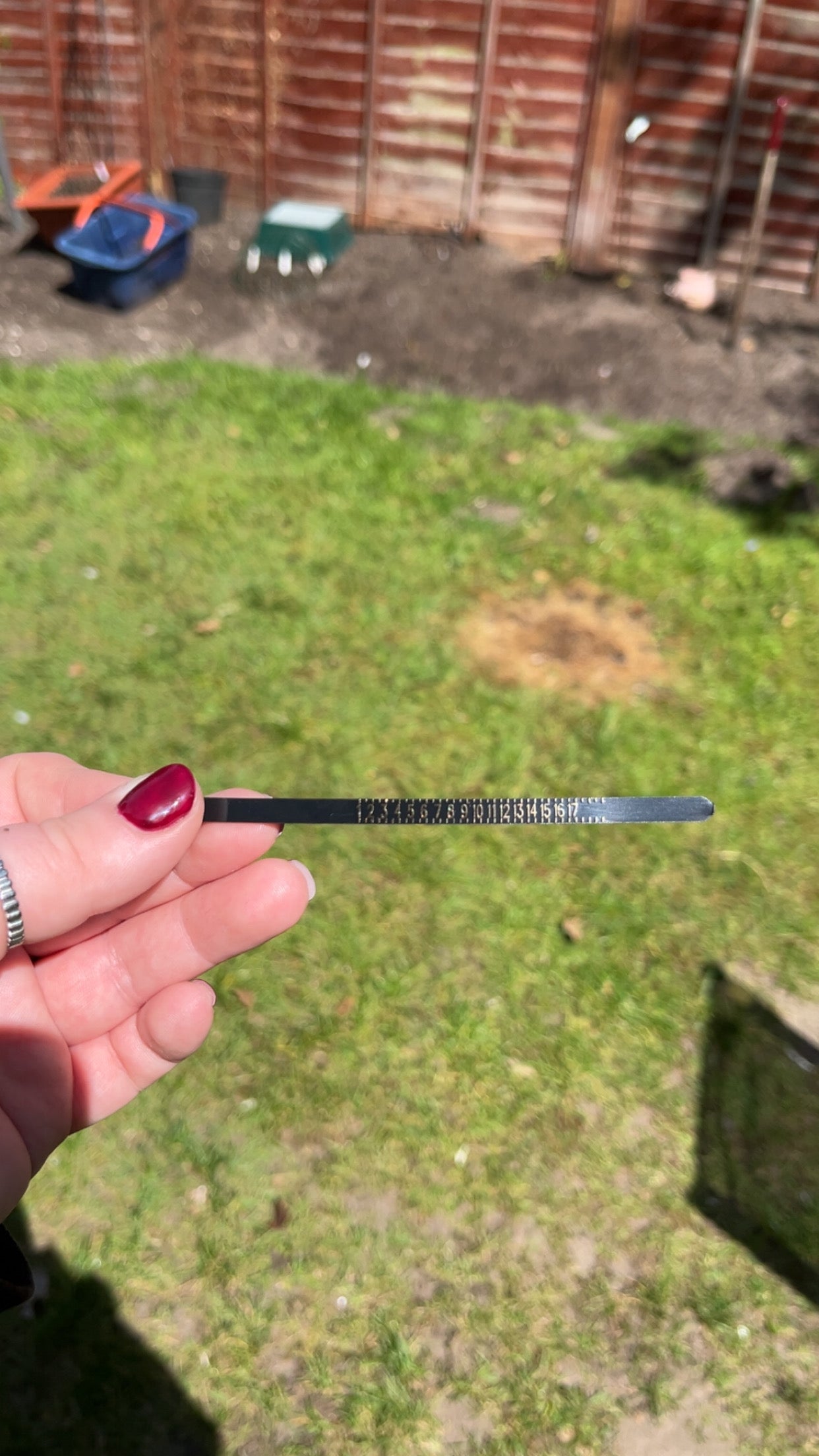 Ring Sizer