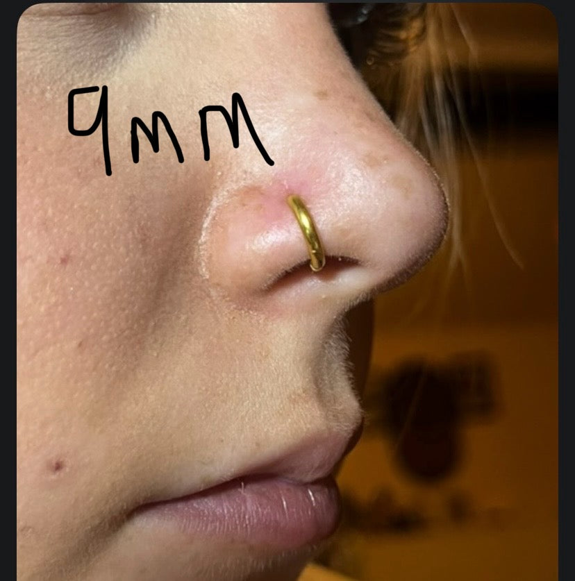 Nose Rings - Available in Silver and Gold