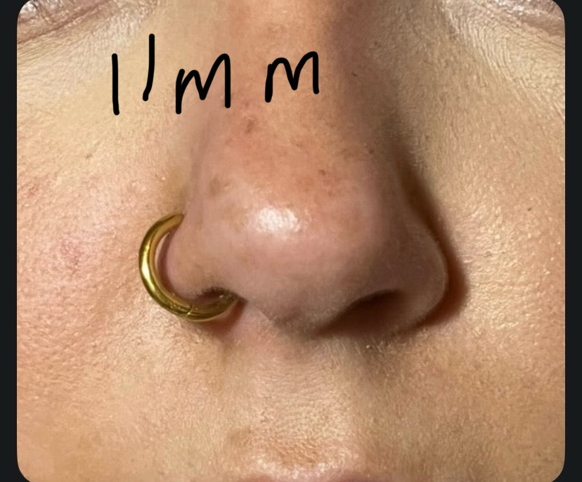 Nose Rings - Available in Silver and Gold
